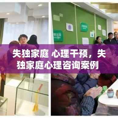 失獨(dú)家庭 心理干預(yù)，失獨(dú)家庭心理咨詢案例 