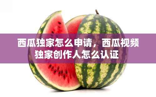 西瓜獨家怎么申請，西瓜視頻獨家創作人怎么認證 