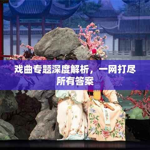 戲曲專題深度解析，一網(wǎng)打盡所有答案