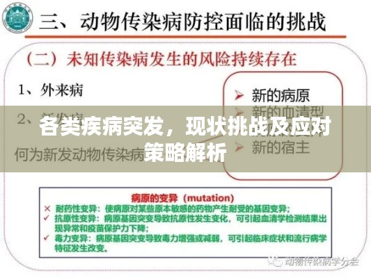 各類疾病突發，現狀挑戰及應對策略解析