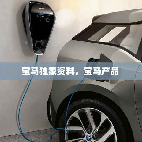 寶馬獨家資料，寶馬產(chǎn)品 