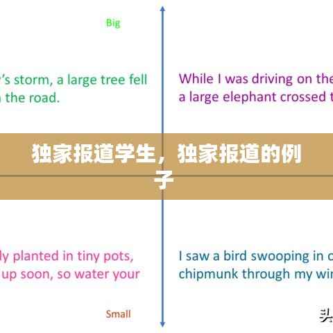 獨家報道學生，獨家報道的例子 