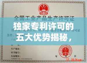 獨(dú)家專利許可的五大優(yōu)勢(shì)揭秘，專利保護(hù)下的商業(yè)新機(jī)遇！