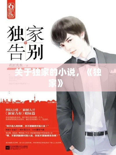 關于獨家的小說，《獨家》 