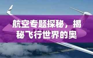 航空專題探秘，揭秘飛行世界的奧秘