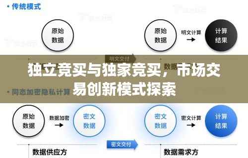 獨立競買與獨家競買，市場交易創新模式探索