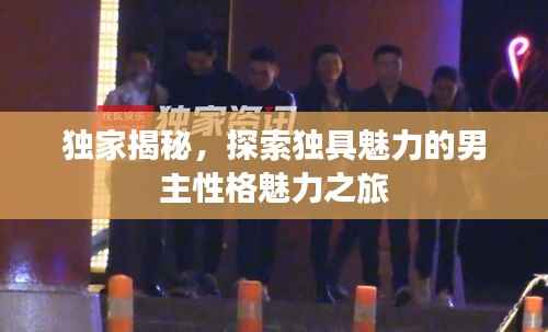獨(dú)家揭秘，探索獨(dú)具魅力的男主性格魅力之旅