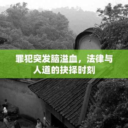罪犯突發腦溢血，法律與人道的抉擇時刻