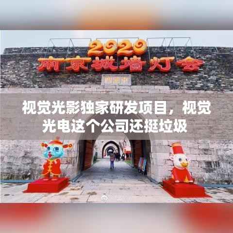 視覺光影獨家研發項目，視覺光電這個公司還挺垃圾 