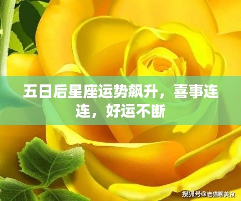 五日后星座運(yùn)勢(shì)飆升，喜事連連，好運(yùn)不斷