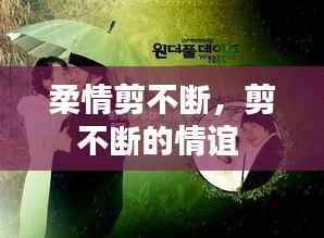 柔情剪不斷，剪不斷的情誼 