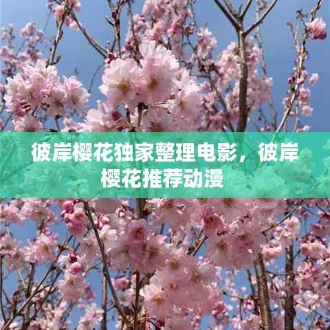 彼岸櫻花獨家整理電影，彼岸櫻花推薦動漫 