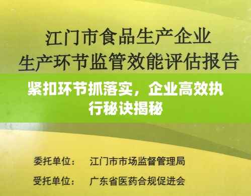 緊扣環節抓落實，企業高效執行秘訣揭秘