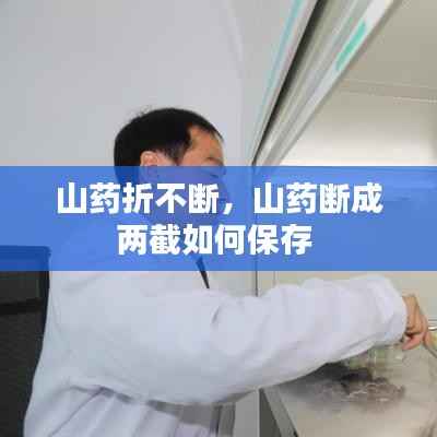 山藥折不斷，山藥斷成兩截如何保存 