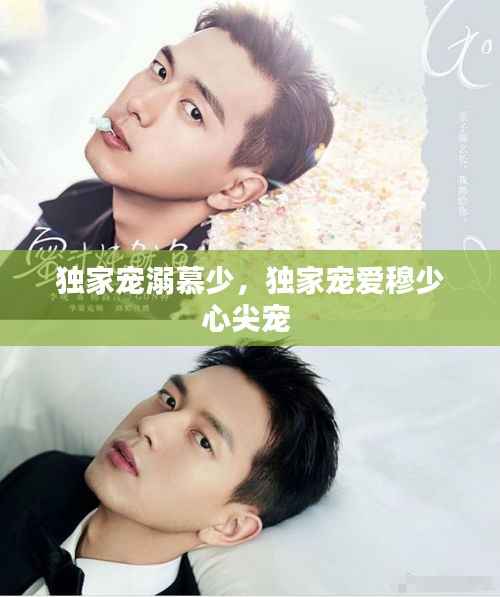 獨家寵溺慕少，獨家寵愛穆少心尖寵 