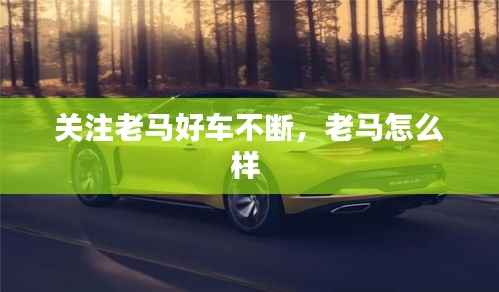 關注老馬好車不斷，老馬怎么樣 