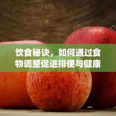 飲食秘訣，如何通過食物調整促進排便與健康生活關聯？