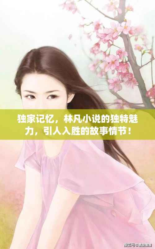獨家記憶，林凡小說的獨特魅力，引人入勝的故事情節！