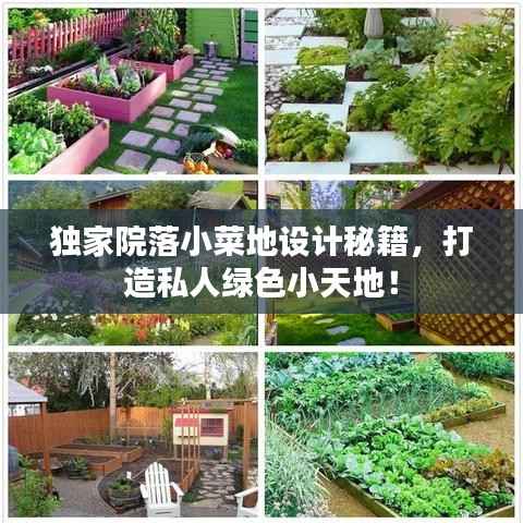 獨(dú)家院落小菜地設(shè)計(jì)秘籍，打造私人綠色小天地！