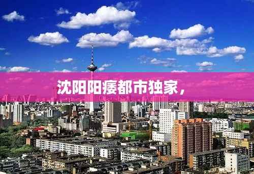 沈陽陽痿都市獨家， 