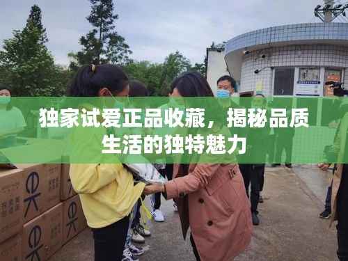 獨家試愛正品收藏，揭秘品質生活的獨特魅力