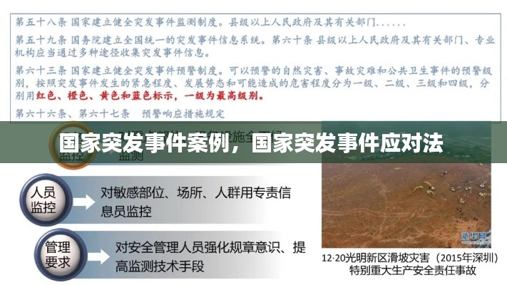 國家突發事件案例，國家突發事件應對法 