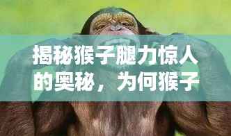 揭秘猴子腿力驚人的奧秘，為何猴子腿能擰不斷？