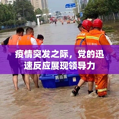 疫情突發(fā)之際，黨的迅速反應(yīng)展現(xiàn)領(lǐng)導(dǎo)力