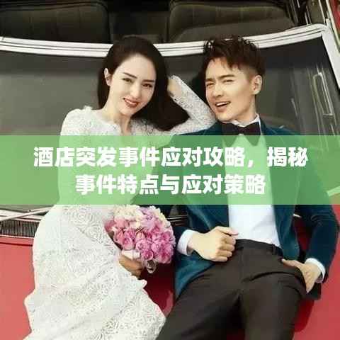 酒店突發事件應對攻略，揭秘事件特點與應對策略