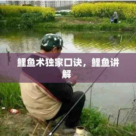 鯉魚術獨家口訣，鯉魚講解 