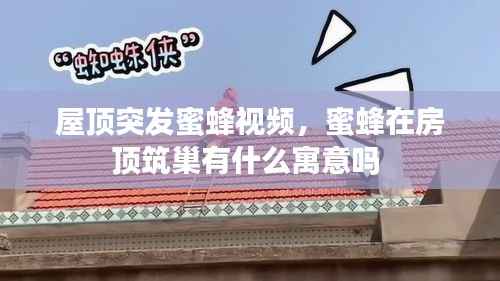 屋頂突發(fā)蜜蜂視頻，蜜蜂在房頂筑巢有什么寓意嗎 