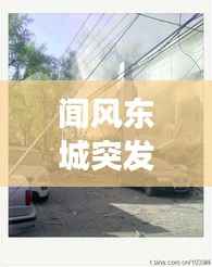 晉惠聞蛙 第5頁