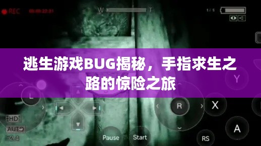 逃生游戲BUG揭秘，手指求生之路的驚險(xiǎn)之旅