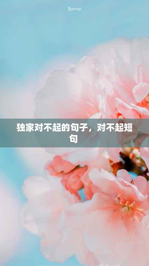 獨家對不起的句子，對不起短句 