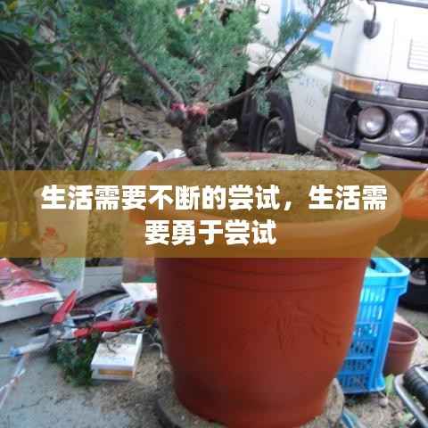 生活需要不斷的嘗試，生活需要勇于嘗試 
