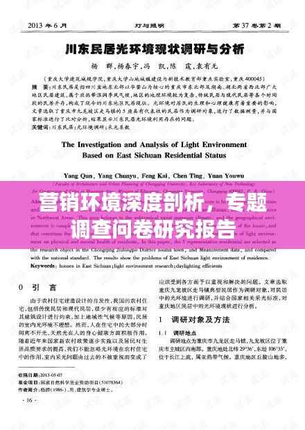 營銷環境深度剖析，專題調查問卷研究報告