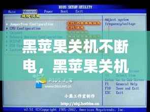 黑蘋果關機不斷電，黑蘋果關機不斷電和主板bios設置有關系嗎 