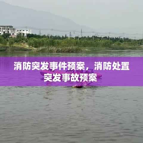 消防突發事件預案，消防處置突發事故預案 