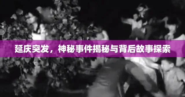 延慶突發，神秘事件揭秘與背后故事探索