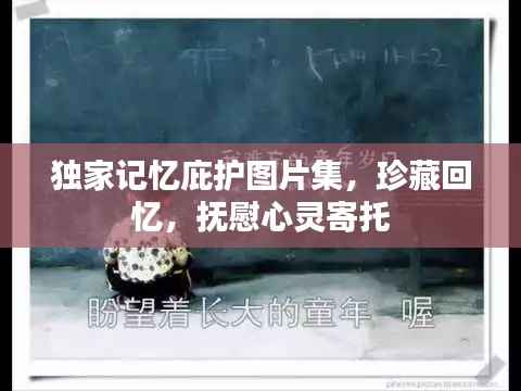 獨家記憶庇護圖片集，珍藏回憶，撫慰心靈寄托