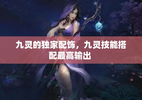 九靈的獨家配飾，九靈技能搭配最高輸出 
