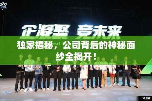 獨(dú)家揭秘，公司背后的神秘面紗全揭開！