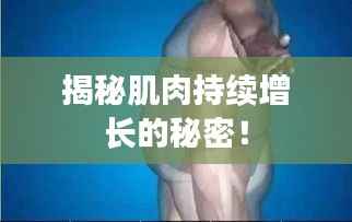 揭秘肌肉持續(xù)增長(zhǎng)的秘密！