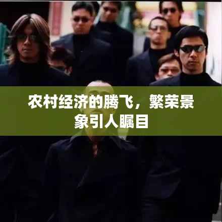 農(nóng)村經(jīng)濟的騰飛，繁榮景象引人矚目