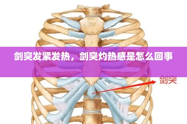 劍突發(fā)緊發(fā)熱，劍突灼熱感是怎么回事 