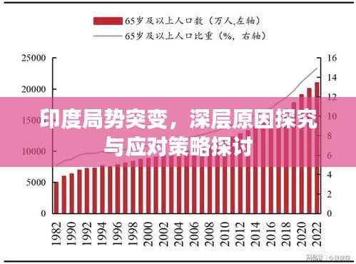印度局勢突變，深層原因探究與應對策略探討