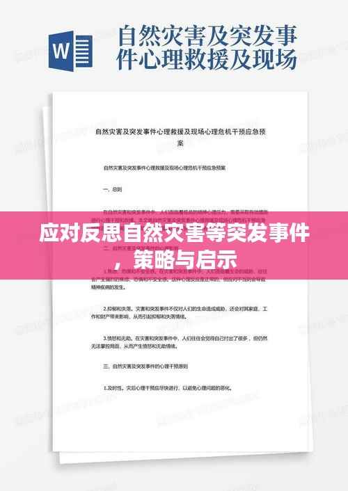 應對反思自然災害等突發事件，策略與啟示