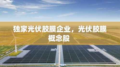 獨家光伏膠膜企業(yè)，光伏膠膜概念股 