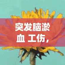 突發腦淤血 工傷，腦淤血算幾級傷殘 