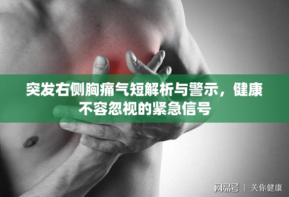 突發(fā)右側(cè)胸痛氣短解析與警示，健康不容忽視的緊急信號(hào)